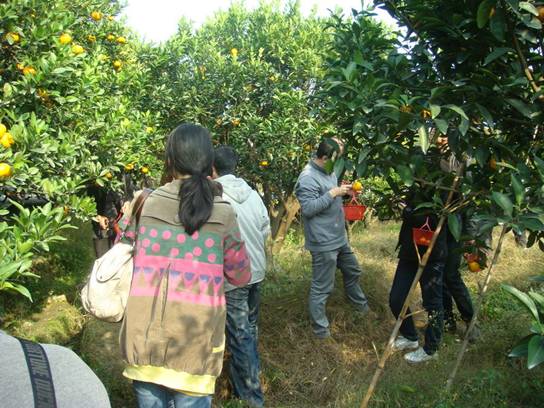 ����´��ڷ�����ͼ