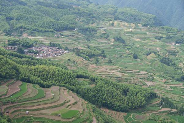 ����´��ڷ�����ͼ