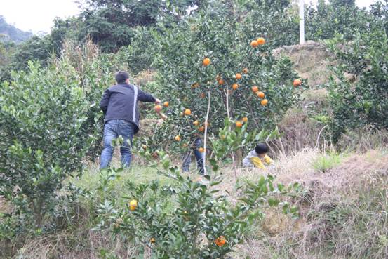 ����´��ڷ�����ͼ